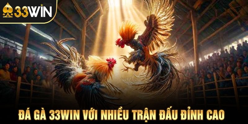 Tham gia vào các hình thức cược thú vị và tự tin chiến thắng