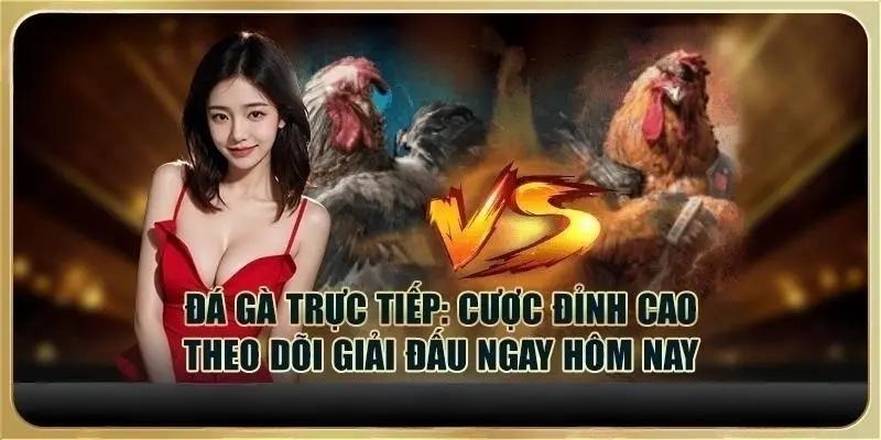 đá gà trực tiếp