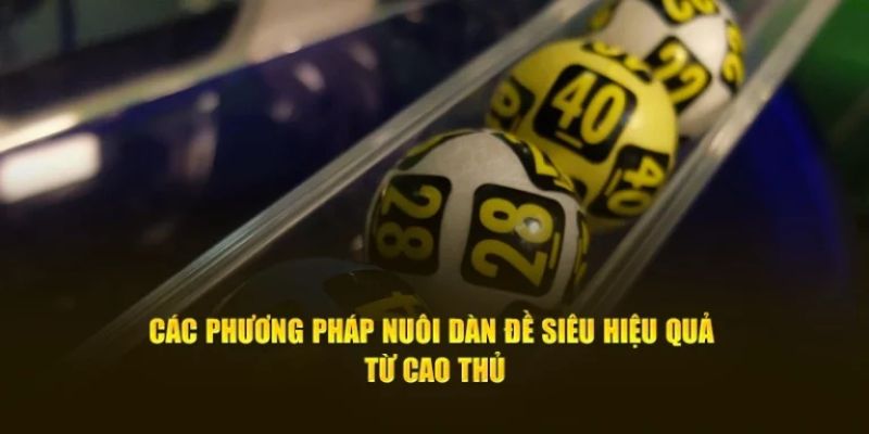 Có nhiều phương pháp soi dàn đề 12 số 33WIN