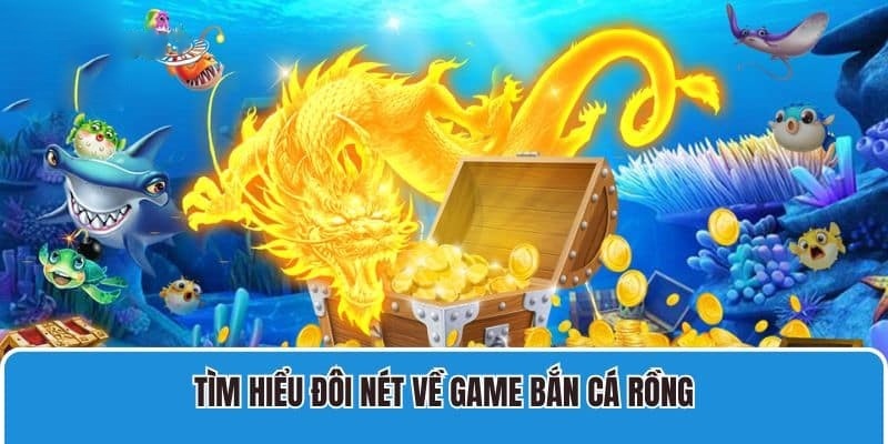 Khám phá thông tin chung về game bắn cá rồng